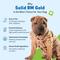 Show in main carousel: Pet Wellbeing BM Tone-Up GOLD for Diarrhea for Dogs, 4-oz bottle slide 6 of 11