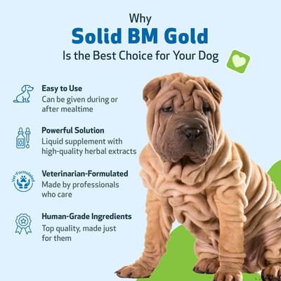 Show full view: Pet Wellbeing BM Tone-Up GOLD for Diarrhea for Dogs, 4-oz bottle slide 6 of 11