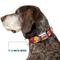 Show in main carousel: Buckle-Down Disney Cars Lightning McQueen Smiling Pose Dog Collar, Medium: 11 to 16.5-in neck, 1-in wide slide 7 of 8