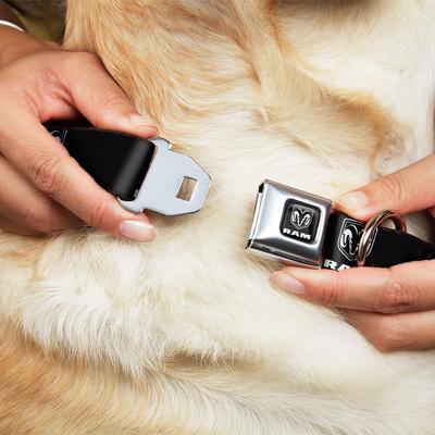 Show full view: Buckle-Down Dodge Ram Shield Logo Dog Collar, Small: 13 to 17-in neck, 1.5-in wide slide 8 of 8