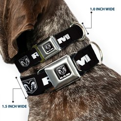 Buckle-Down Dodge Ram Shield Logo Dog Collar, Large: 15 to 24-in neck, 1-in wide slide 2 of 8