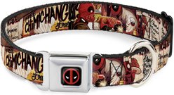 Buckle-Down Marvel Comics Deadpool Dynamite Chimichanga Dog Collar, Small: 13 to 17-in neck, 1.5-in wide
