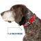 Show in main carousel: Buckle-Down Service Dog Text Dog Collar, Medium: 16 to 23-in neck, 1.5-in wide slide 7 of 9