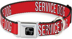 Buckle-Down Service Dog Text Dog Collar, Large: 15 to 24-in neck, 1-in wide
