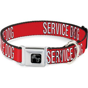 Buckle-Down Service Dog Text Dog Collar, Medium: 16 to 23-in neck, 1.5-in wide