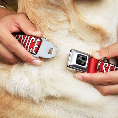 Show full view: Buckle-Down Service Dog Text Dog Collar, Medium: 16 to 23-in neck, 1.5-in wide slide 9 of 9