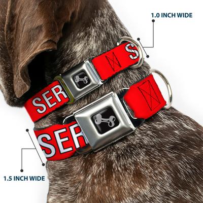 Show full view: Buckle-Down Service Dog Text Dog Collar, Medium: 16 to 23-in neck, 1.5-in wide slide 3 of 9