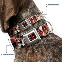 Buckle-Down Marvel Comics Deadpool Shooting Targets Dog Collar, Small: 9.5 to 13-in neck, 1-in wide slide 2 of 8