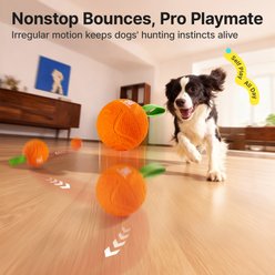 Potaroma Interactive Motion Activated Dog Ball Toy with Rope slide 2 of 6