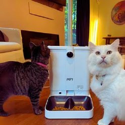 PiFi Smart Portion Control WiFi 5G & 2.4G Dual Bin Automatic Cat Multi Feeder, White, 6-liter, Modern Slim slide 2 of 9