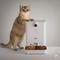 Show in main carousel: PiFi Smart Portion Control WiFi 5G & 2.4G Dual Bin Automatic Cat Multi Feeder, White, 6-liter, Modern Slim slide 6 of 11
