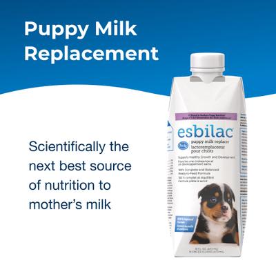 Show full view: PetAg Esbilac Puppy Milk Replacer Liquid Supplement, 16-fl oz slide 4 of 10