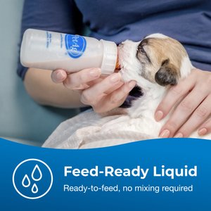 PetAg Esbilac Puppy Milk Replacer Liquid Supplement, 16-fl oz