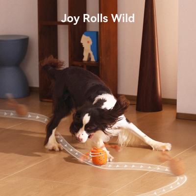 Show full view: Cheerble Wicked Ball Rolly Automatic Rotating Dog Toy, Orange slide 3 of 9