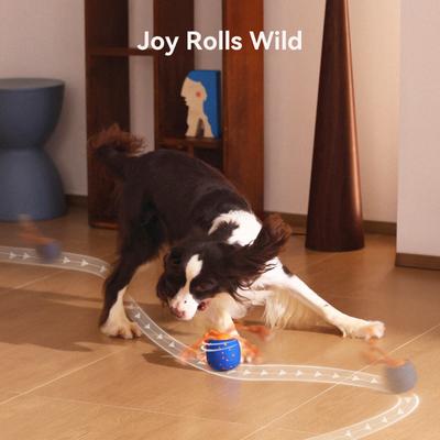 Show full view: Cheerble Wicked Ball Rolly Automatic Rotating Dog Toy, Blue slide 8 of 9