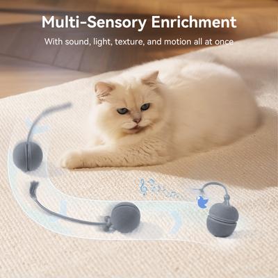 Show full view: Cheerble WIcked Ball Duo2 Bird Chirping Interactive Cat Toy, Grey slide 4 of 10