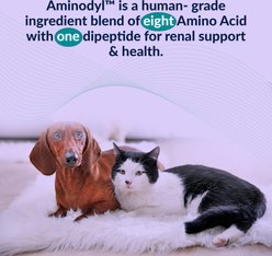 Aminodyl 1100mg Capsule Kidney Support Supplement for Dogs, 120 count slide 2 of 9