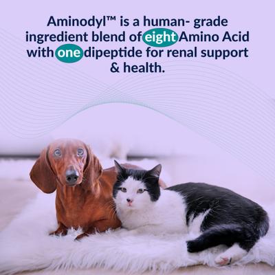 Show full view: Aminodyl 400mg Capsule Kidney Support Supplement for Small Dogs & Cats, 120 count slide 9 of 10
