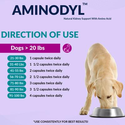 Show full view: Aminodyl 1100mg Capsule Kidney Support Supplement for Dogs, 120 count slide 5 of 10