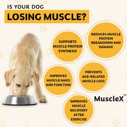 MuscleX Canine Muscle Formula 500mg with CaHMB & Vitamin D3 Capsule Joint Supplement for Dogs & Cats, 90 count slide 2 of 9
