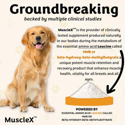 Show full view: MuscleX Canine Muscle Formula 500mg with CaHMB & Vitamin D3 Capsule Joint Supplement for Dogs & Cats, 90 count slide 8 of 10