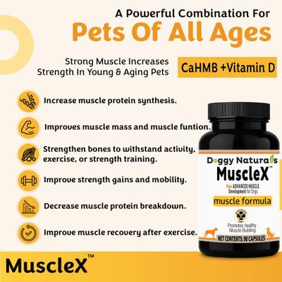 Show full view: MuscleX Canine Muscle Formula 500mg with CaHMB & Vitamin D3 Capsule Joint Supplement for Dogs & Cats, 90 count slide 4 of 10
