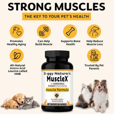 Show full view: MuscleX Canine Muscle Formula 300mg with CaHMB & Vitamin D3 Capsule Joint Supplement for Dogs & Cats, 90 count slide 10 of 10