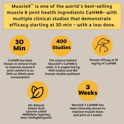 Show full view: MuscleX Canine Muscle Formula 500mg with CaHMB & Vitamin D3 Capsule Joint Supplement for Dogs & Cats, 90 count slide 6 of 10