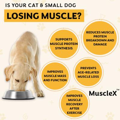 Show full view: MuscleX Canine Muscle Formula 300mg with CaHMB & Vitamin D3 Capsule Joint Supplement for Dogs & Cats, 90 count slide 5 of 10