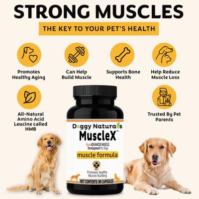 Show full view: MuscleX Canine Muscle Formula 500mg with CaHMB & Vitamin D3 Capsule Joint Supplement for Dogs & Cats, 90 count slide 9 of 10