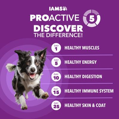 Show full view: Iams Advanced Health Skin & Coat Chicken & Salmon Recipe Adult Dry Dog Food, 27-lb bag slide 9 of 11