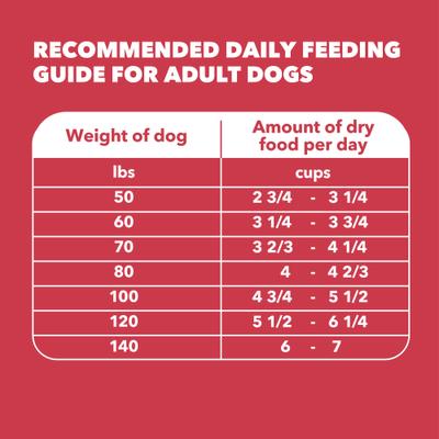 Show full view: Iams Proactive Health Large Breed Adult Lamb & Rice Recipe Dry Dog Food, 40-lb bag slide 8 of 11