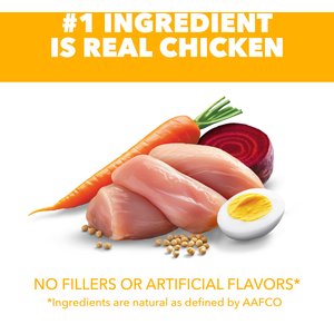 Iams Proactive Health Smart Small Breed Puppy with Real Chicken Dry Dog Food, 7-lb bag