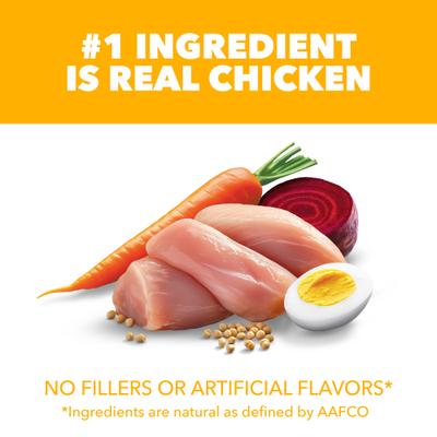 Show full view: Iams Proactive Health Smart Small Breed Puppy with Real Chicken Dry Dog Food, 7-lb bag slide 4 of 11