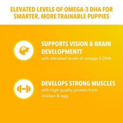 Show full view: Iams Proactive Health Smart Small Breed Puppy with Real Chicken Dry Dog Food, 7-lb bag slide 5 of 11