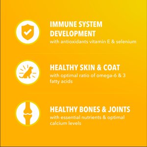 Iams Proactive Health Smart Small Breed Puppy with Real Chicken Dry Dog Food, 7-lb bag