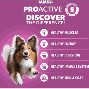 Iams Proactive Health Healthy Aging with Real Chicken Senior Dry Dog Food, 29.1-lb bag