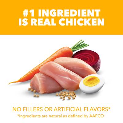 Show full view: Iams Proactive Health Large Breed Puppy with Real Chicken Dry Dog Food, 30.6-lb bag slide 4 of 11