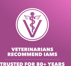 Iams Proactive Health Healthy Aging with Real Chicken Senior Dry Dog Food, 29.1-lb bag slide 2 of 9