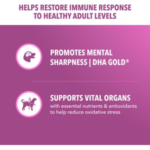 Iams Proactive Health Healthy Aging with Real Chicken Senior Dry Dog Food, 29.1-lb bag