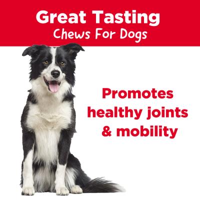 Show full view: Country Kitchen NoHide Beef Collagen Braids Dog Treats, 4 count slide 4 of 8