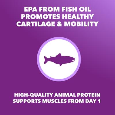 Show full view: Iams Advanced Health Mobility Support Chicken & Whole Grain Recipe Adult Dry Dog Food, 13.5-lb bag slide 5 of 11