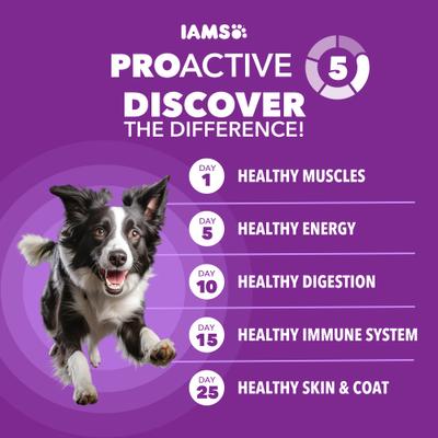 Show full view: Iams Advanced Health Adult Healthy Digestion with Real Chicken Dry Dog Food, 6-lb bag slide 9 of 11