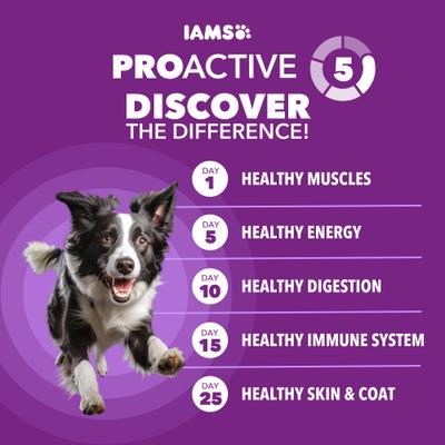 Show full view: Iams Advanced Health Mobility Support Chicken & Whole Grain Recipe Adult Dry Dog Food, 6-lb bag slide 9 of 11