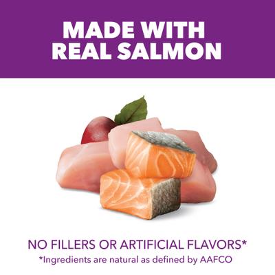 Show full view: Iams Advanced Health Skin & Coat Chicken & Salmon Recipe Adult Dry Dog Food, 13.5-lb bag slide 4 of 11