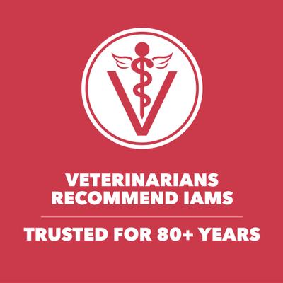 Show full view: Iams Proactive Health Large Breed Adult Lamb & Rice Recipe Dry Dog Food, 15-lb bag slide 10 of 11