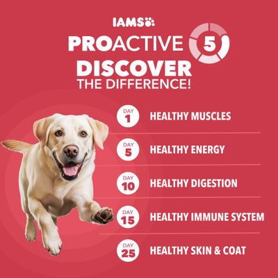 Show full view: Iams Proactive Health Large Breed Adult Lamb & Rice Recipe Dry Dog Food, 15-lb bag slide 9 of 11