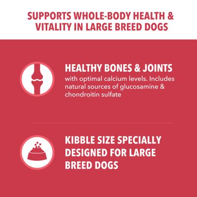 Show full view: Iams Proactive Health Large Breed Adult Lamb & Rice Recipe Dry Dog Food, 15-lb bag slide 5 of 11