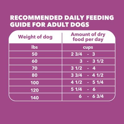 Show full view: Iams Proactive Health Healthy Aging Large Breed Adult Senior with Real Chicken Dry Dog Food, 15-lb bag slide 8 of 11