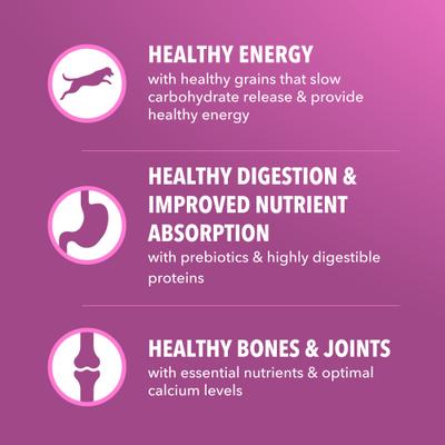 Show full view: Iams Proactive Health Healthy Aging Large Breed Adult Senior with Real Chicken Dry Dog Food, 15-lb bag slide 6 of 11